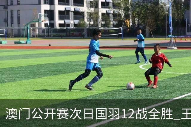 澳门公开赛次日国羽12战全胜 王正行刘亮晋级次轮